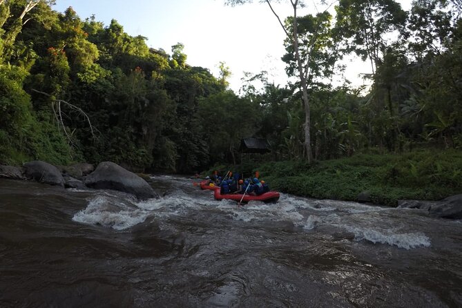 Bali Rafting - Is $24.45 a fair price?