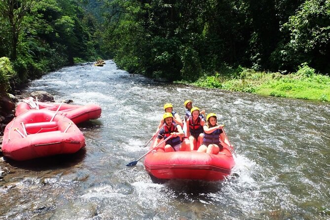 Bali Rafting Adventure + East Bali Tour - How good is the $35 value?