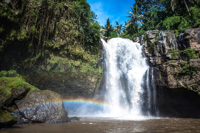 Bali Rafting and Private Combination Ubud Tour Packages - Key points at a glance