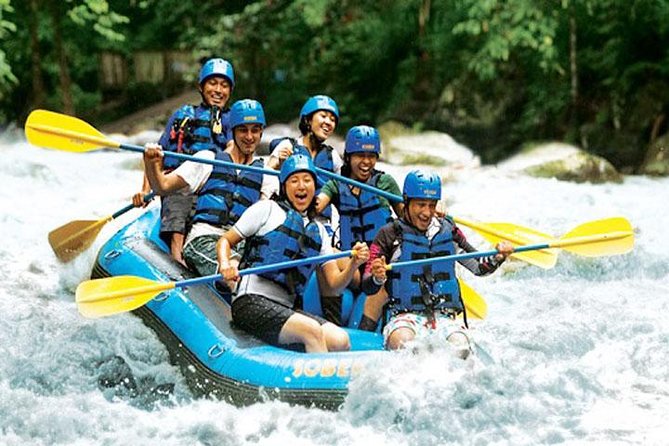 Bali Rafting and Private Combination Ubud Tour Packages - What to expect on the Ayung River
