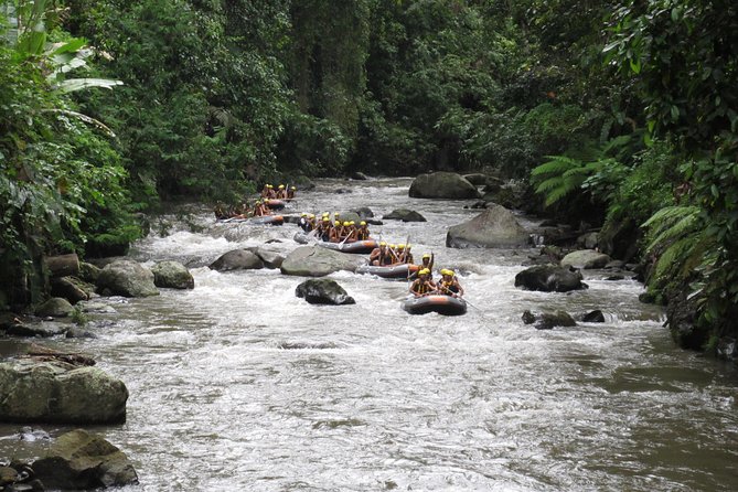 Bali Rafting Ubud with Lunch - How demanding is the walk and rafting?