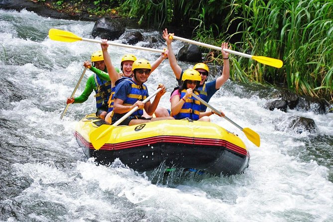 Bali Rafting Ubud with Lunch - Is $24.95 a good value?
