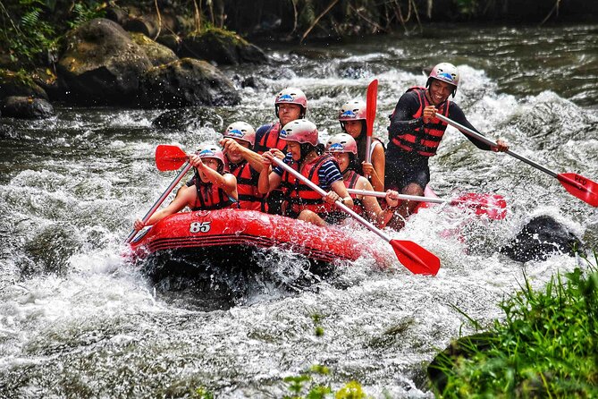 Bali Rafting with Cliff CARVING Relief - Key points to know before booking