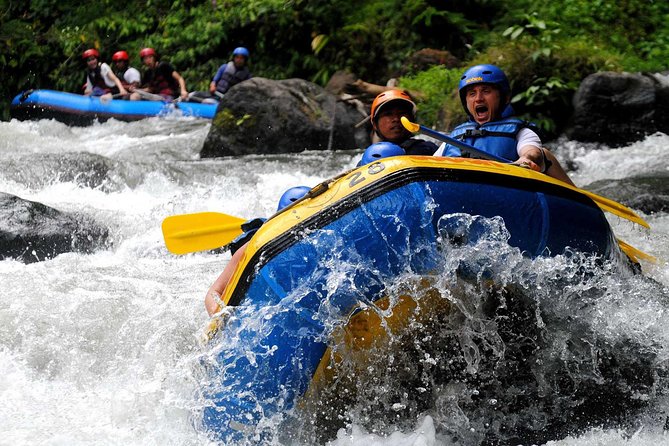Bali Rafting with Cliff CARVING Relief - What the two-hour rafting section is really like