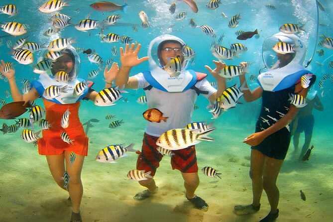 Bali Sea Walking and Telaga Waja Rafting Trip Adventure - What the $100 price includes