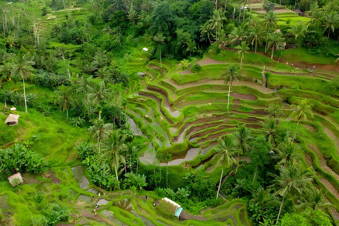 Bali Water Sports and Rafting Packages - Tanjung Benoa: fast water sports and clear instructions