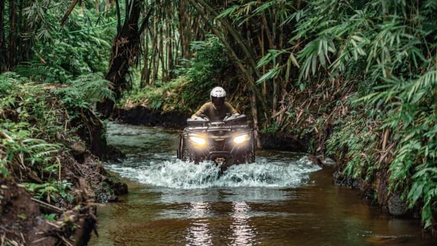 Bali: Waterfall Gorilla Cave ATV & Ubud Rafting Trip & Lunch - Who should book this experience?
