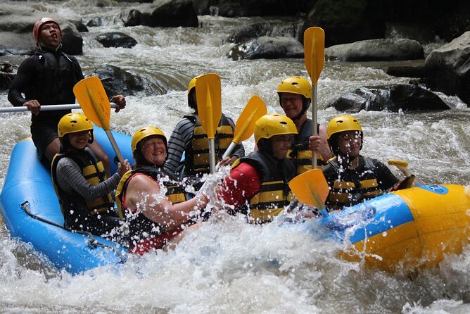 Bali White Water Rafting Adventure at Ayung River Bali - Starting at Graha Adventure Rafting in Kedewatan