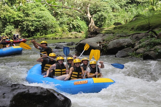 Bali White Water Rafting Adventure at Ayung River Bali - Rice paddies, waterfall, and carved cliffs