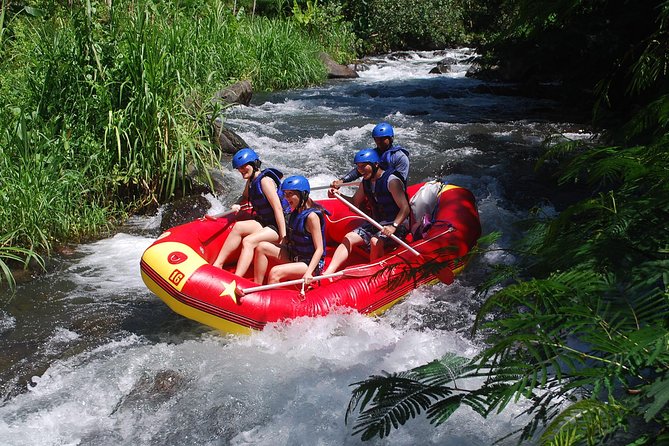 Bali White Water Rafting at Telaga Waja River - Who will enjoy this river trip most