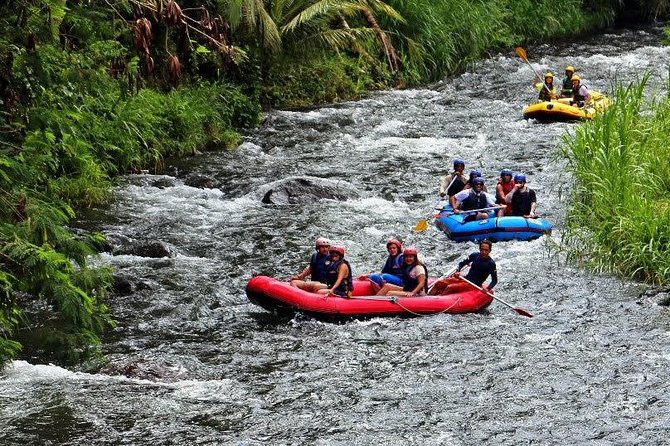 Bali White Water Rafting at Telaga Waja River - Safety briefing, equipment, and the first paddle strokes