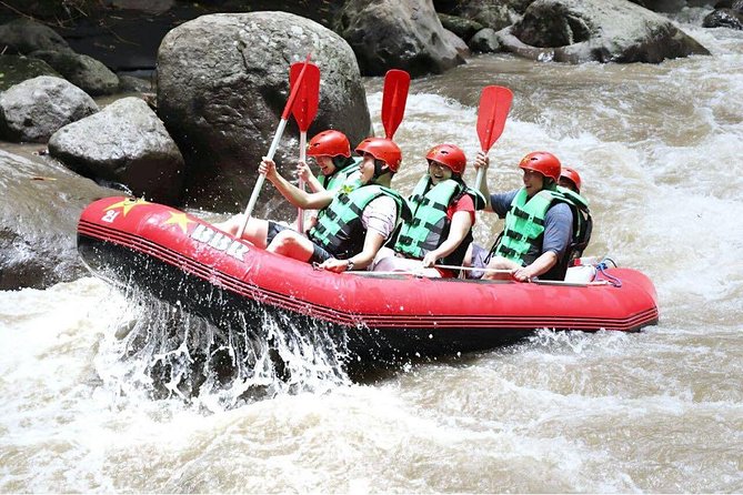 Bali White Water Rafting - Infinity - Two hours of rapids, jungle, and waterfalls