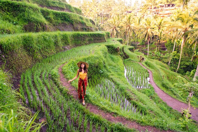 Bali White Water Rafting with No Steep Access - What the Ayung River rafting trip is really like