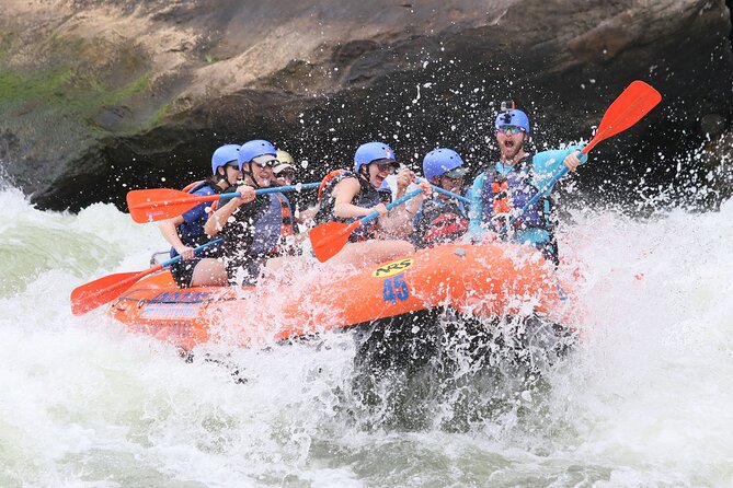 Bali White Water Rafting with No Steep Access - Buffet lunch with a jungle view