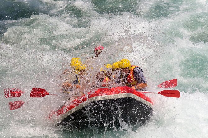 Bali White Water Rafting with Sacred Monkey Forest and Swing - Walking among macaques at Sangeh Monkey Forest