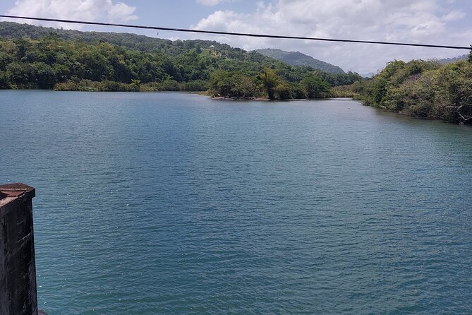 Bamboo Rafting and Boston Jerk Centre Tour in Portland Jamaica - Booking and cancellation details