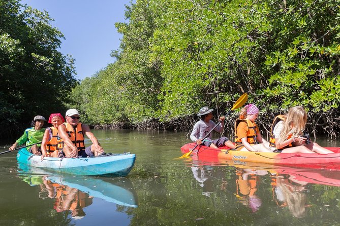 Bamboo Rafting and Eco Delight Story PRIVATE 4 persons - From Phuket - Ta Din Dang mangrove forest by kayak and boat