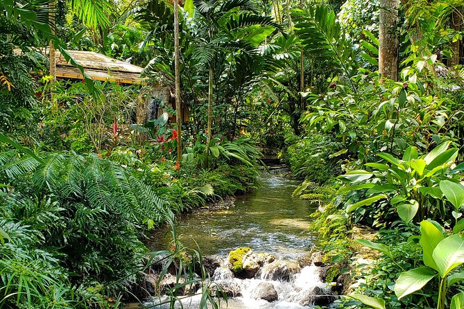Bamboo rafting and Horseback ridding - Two Jamaican experiences in one half-day