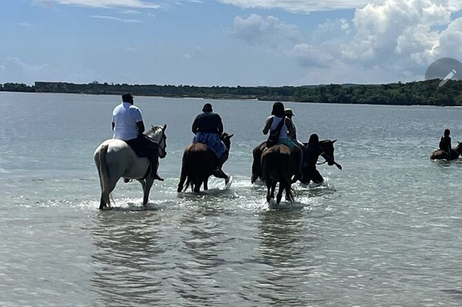Bamboo Rafting and HorseBack Riding Excursion in OchoRios Jamaica - A Jamaican day built around river and sea