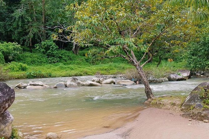 Bamboo Rafting and Jungle Tour From Phuket - Bamboo rafting through the Phang Nga jungle
