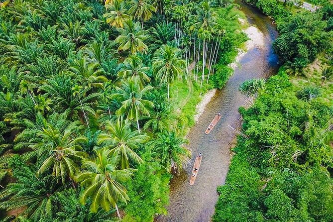 Bamboo Rafting and Sea Turtle Conservation Center Half Day Tour From Khao Lak - Bamboo rafting on a quiet jungle river