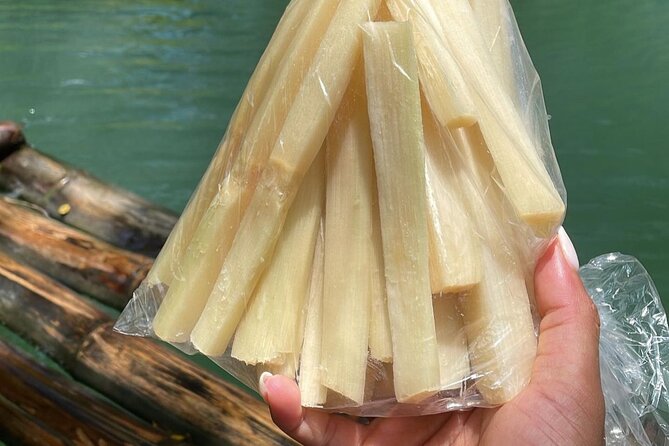 Bamboo Rafting at Martha Brae River & Lunch At Scotcheis - Is $50 good value?