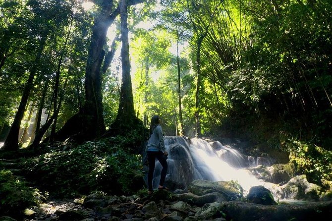 Bamboo Rafting, ATV Riding and Jungle Tour From Phuket - Bamboo rafting through mangroves and estuaries