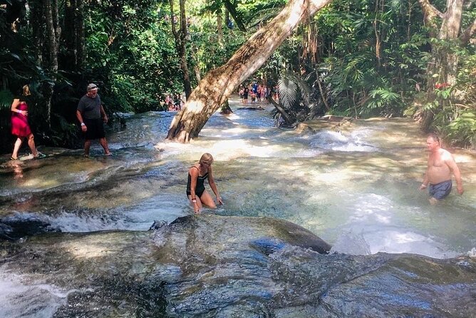 Bamboo Rafting, Dunn's River Falls and Horseback Riding Private Tour - What the private vehicle adds