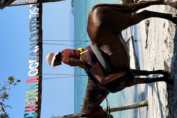 Bamboo Rafting & Horseback -dunns river Transportation Included - A balanced call on the experience