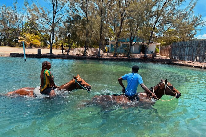 Bamboo Rafting & Horseback Ride n Swim Guided Tour in Montego Bay - What the $125 price includes