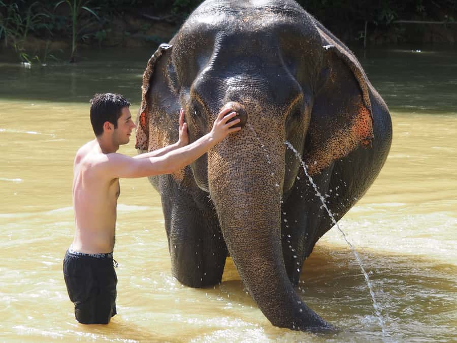 Bamboo Rafting, Waterfall, lunch, Elephant, and Turtle Tour - What to bring for a smoother day