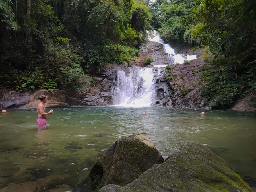 Bamboo Rafting, Waterfall, lunch, Elephant, and Turtle Tour - Sea turtles at the Tablamu Navy Base