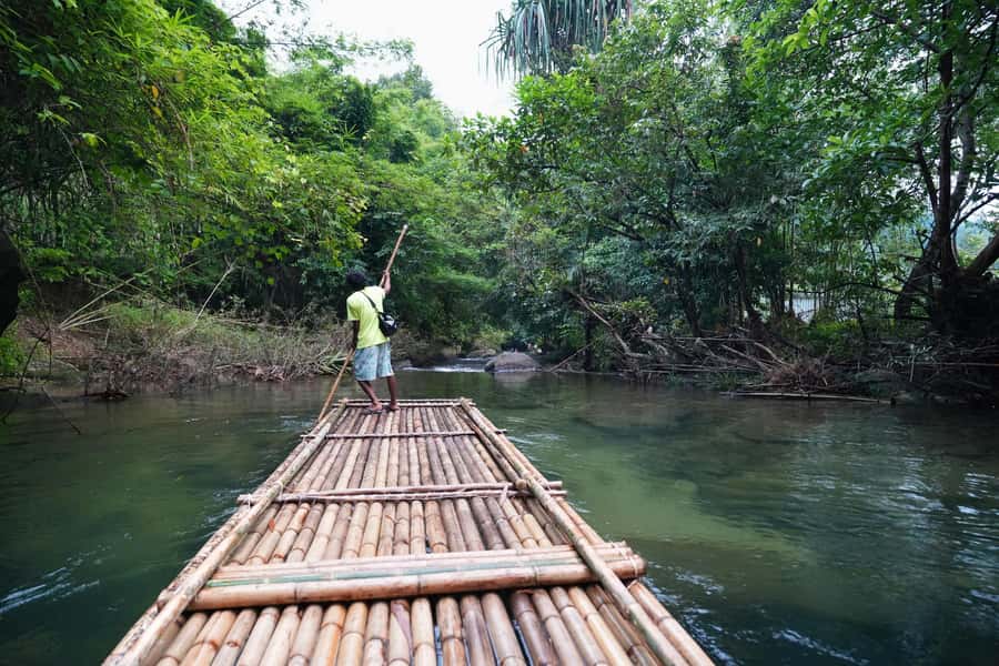 Bamboo Rafting, Waterfall, lunch, Elephant, and Turtle Tour - Bathing and feeding elephants without riding