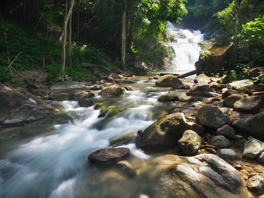Bamboo Rafting, Waterfall, lunch, Elephant, and Turtle Tour - Cooling off at Lampi Waterfall