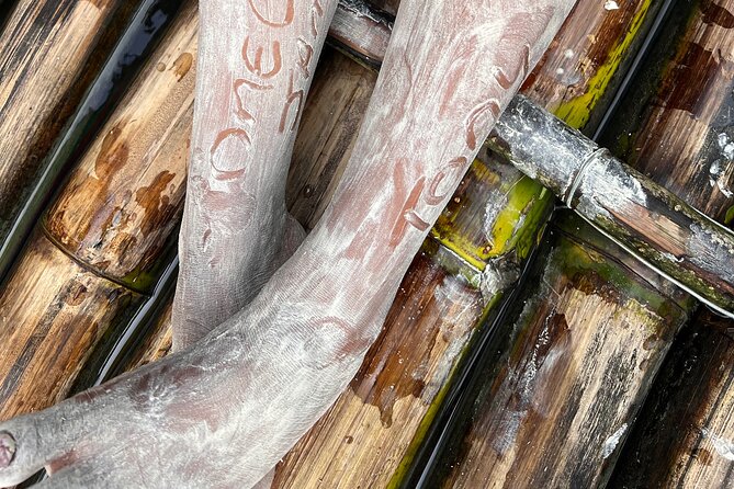 Bamboo rafting with limestone massage - What the five-hour schedule means