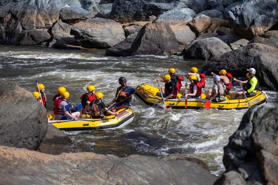 Barron Gorge: Half-Day Barron River White-Water Rafting - Who should book this rafting trip
