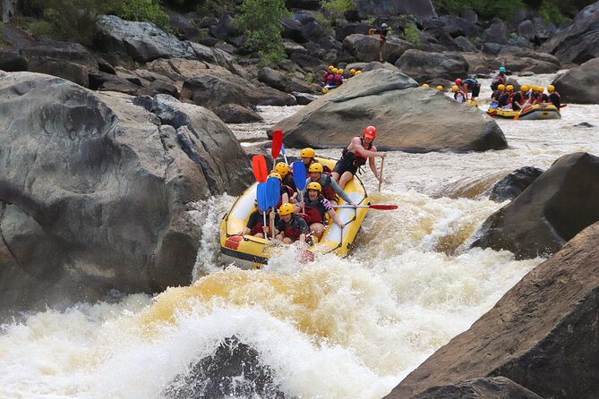 Barron Gorge White Water Rafting from Cairns or Port Douglas - From Cairns or Port Douglas to Lake Placid