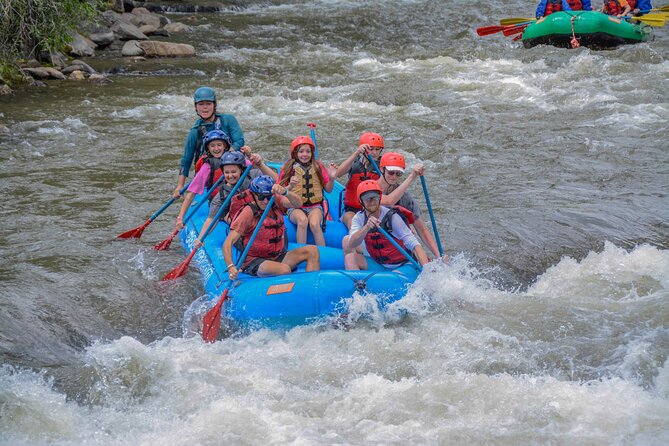 Beginner Whitewater Rafting on Historic Clear Creek - Clear Creek Canyon and the views from the raft