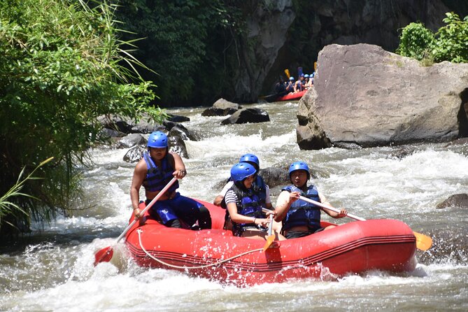 Best White Water Rafting & Lunch, Ubud - Why Ayung River Rafting Works Near Ubud