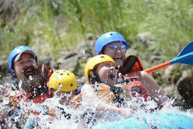 Bighorn Sheep Canyon Half-Day Rafting - Bighorn sheep and the high desert setting