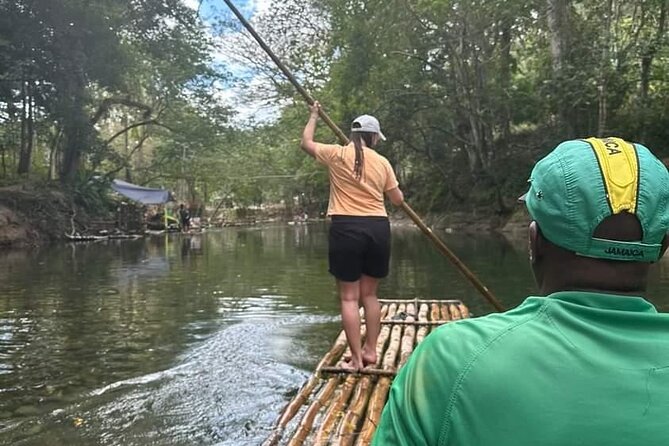 Bird Sanctuary and/or Lethe Bamboo Rafting from Montego Bay - What the hand-feeding visit is really like