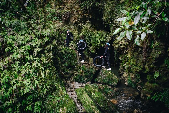 Black Labyrinth: Black Water Rafting - Private Tour from Auckland - Meeting a kiwi at Otorohanga Kiwi House