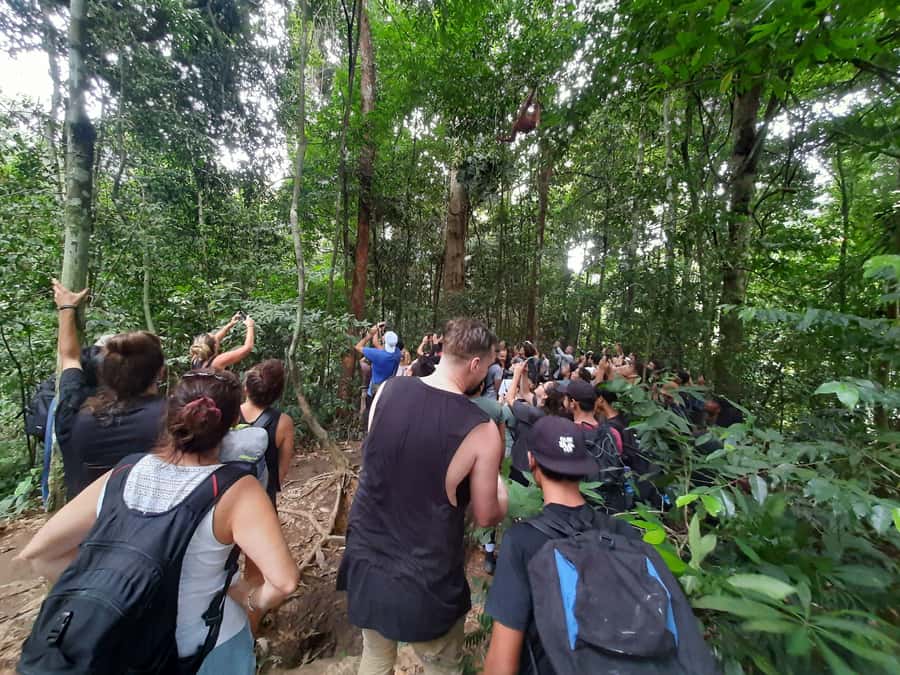 Bukit Lawang: Jungle Trekking and Rafting Day Trip - What to wear and carry for the wet jungle day