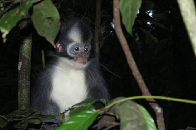 Bukit lawang tour 3days-2 night jungle trekking including rafting - A basic camp beside the river