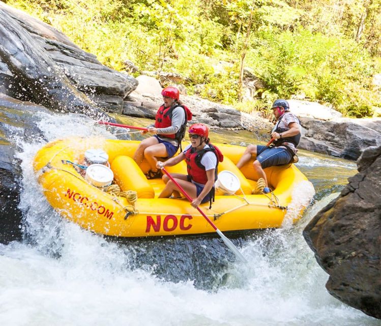 Chattooga: Chattooga River Rafting with Lunch - Four Hours on Chattooga Section IV
