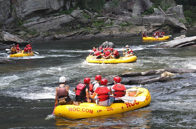 Chattooga River Rafting - Mild: Section 3 - Group size, age, and fitness