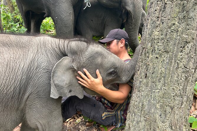 Chiang Mai 1 Day: Elephant Sanctuary, Waterfall & Bamboo Rafting - Why the elephant policy matters