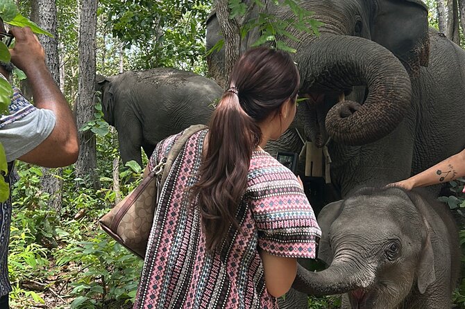 Chiang Mai 1 Day: Elephant Sanctuary, Waterfall & Bamboo Rafting - Bamboo rafting through the countryside