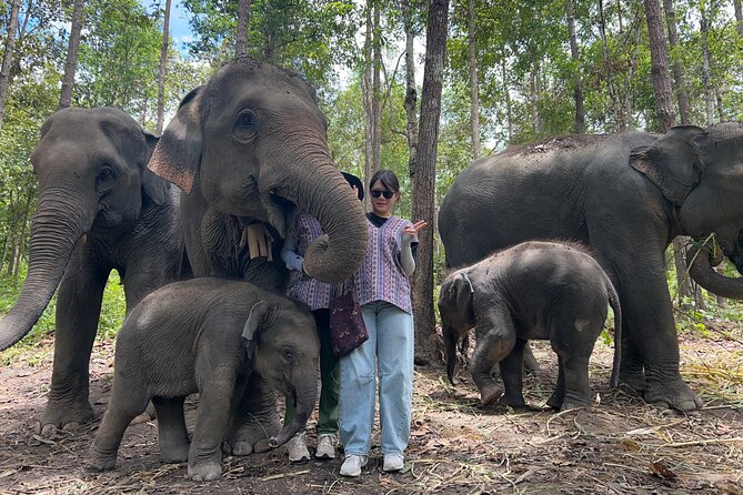 Chiang Mai 1 Day: Elephant Sanctuary, Waterfall & Bamboo Rafting - What the $77.99 price includes