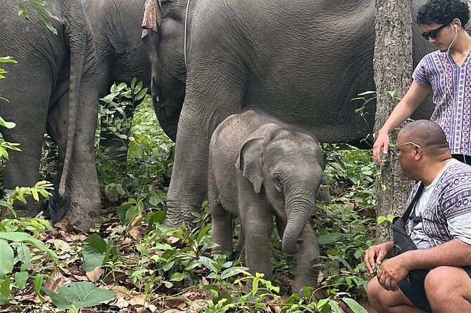 Chiang Mai 1 Day: Elephant Sanctuary, Waterfall & Bamboo Rafting - Who will enjoy this Chiang Mai day trip